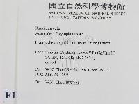 登錄號:F0016240藏品圖，第2張