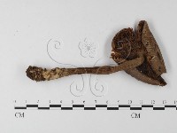 登錄號:F0016241藏品圖，第1張