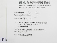 登錄號:F0016242藏品圖，第2張
