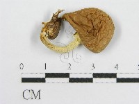 登錄號:F0016242藏品圖，第4張
