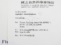 粉褶菌屬藏品圖，第2張