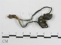 粉褶菌屬藏品圖，第3張