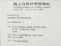 登錄號:F0016244藏品圖，第2張