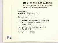 登錄號:F0016246藏品圖，第2張