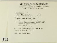 登錄號:F0016248藏品圖，第2張