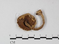 登錄號:F0016248藏品圖，第3張