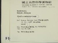 登錄號:F0016250藏品圖，第2張