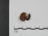 登錄號:F0016252藏品圖，第3張