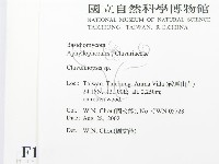 登錄號:F0016253藏品圖，第2張