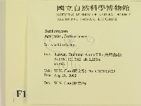 登錄號:F0016254藏品圖，第2張