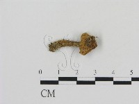 登錄號:F0016254藏品圖，第1張