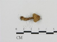 登錄號:F0016254藏品圖，第3張