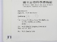 登錄號:F0016255藏品圖，第2張