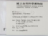 登錄號:F0016257藏品圖，第2張