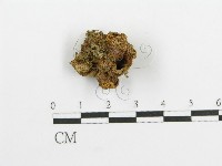 登錄號:F0016258藏品圖，第1張