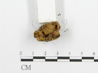登錄號:F0016258藏品圖，第4張