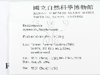 登錄號:F0016259藏品圖，第2張