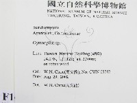 登錄號:F0016261藏品圖，第2張