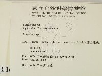 登錄號:F0016263藏品圖，第2張