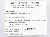 登錄號:F0016264藏品圖，第2張
