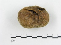 登錄號:F0016264藏品圖，第3張