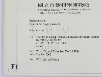 濕傘屬藏品圖，第2張
