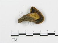 登錄號:F0016266藏品圖，第3張