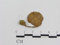 登錄號:F0016267藏品圖，第1張