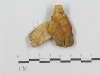 登錄號:F0016268藏品圖，第3張