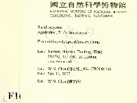 登錄號:F0016270藏品圖，第2張