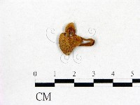 登錄號:F0016270藏品圖，第1張