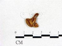 登錄號:F0016270藏品圖，第3張