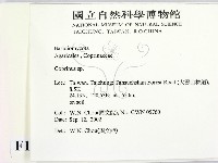 鬼傘屬藏品圖，第2張