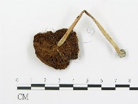 登錄號:F0016272藏品圖，第1張