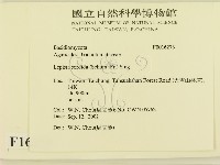 登錄號:F0016273藏品圖，第2張