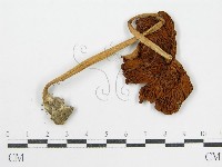 登錄號:F0016274藏品圖，第1張