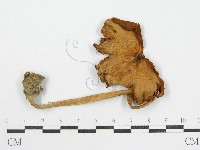 登錄號:F0016274藏品圖，第3張