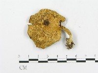 登錄號:F0016276藏品圖，第3張