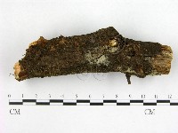 登錄號:F0016277藏品圖，第1張