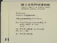 登錄號:F0016279藏品圖，第2張