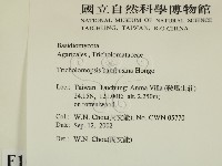 登錄號:F0016280藏品圖，第2張