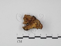 登錄號:F0016283藏品圖，第3張