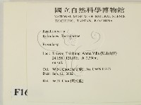 紅菇屬藏品圖，第2張