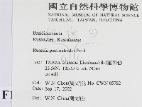 登錄號:F0016288藏品圖，第2張