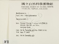 登錄號:F0016290藏品圖，第2張