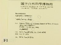 登錄號:F0016297藏品圖，第2張