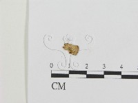 登錄號:F0016297藏品圖，第3張