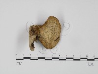 登錄號:F0016300藏品圖，第3張
