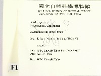 登錄號:F0016303藏品圖，第2張