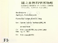 登錄號:F0016304藏品圖，第2張